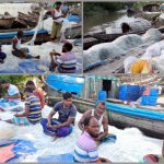 1759602478.Laxmipur-