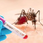 dengue-68f61b0faf93b