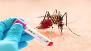 dengue-68f61b0faf93b