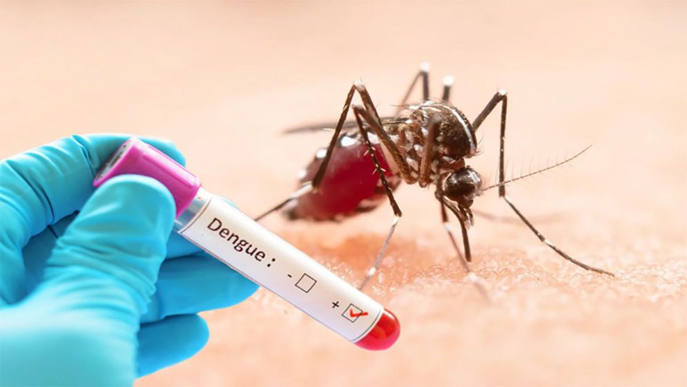 dengue-68f61b0faf93b