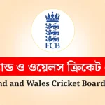 image_235919_1761673962