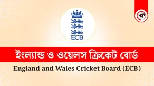 image_235919_1761673962