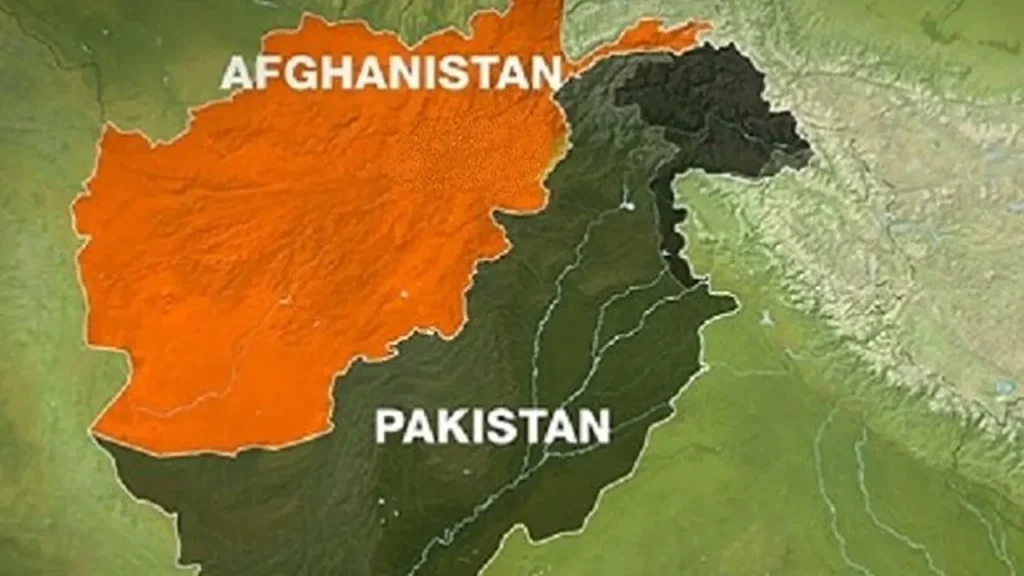 image_235923_1761675093