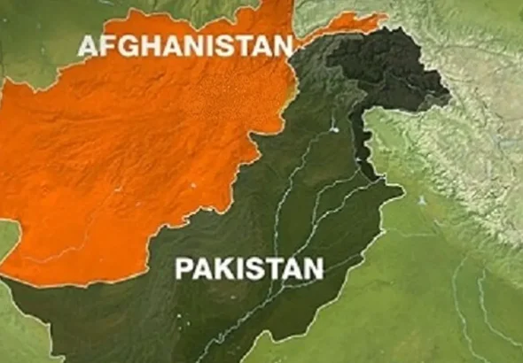 image_235923_1761675093