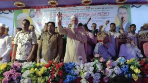 image_236461_1761848448