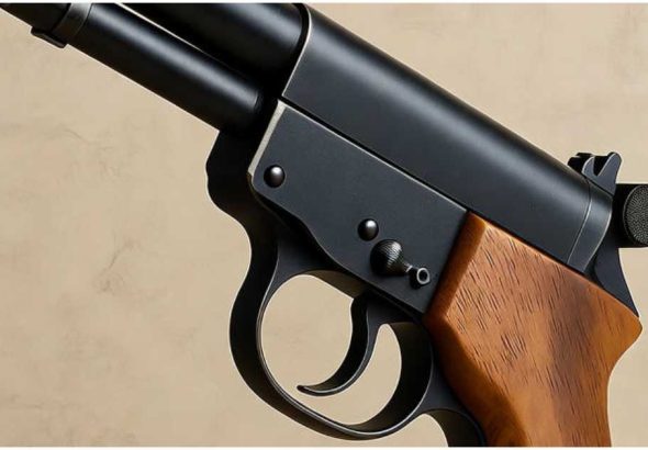 tbn24-20251010220358-4556-gun image