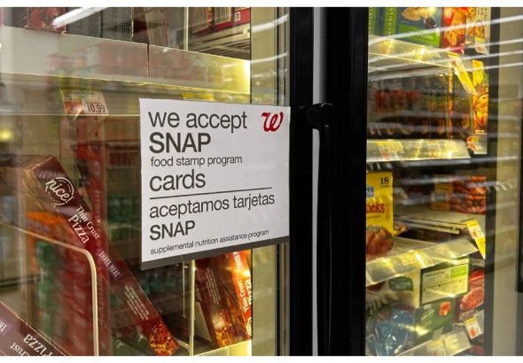 tbn24-20251026121206-6334-BeFunky-collage (12)