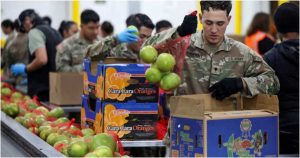 tbn24-20251031004316-314-food assitance