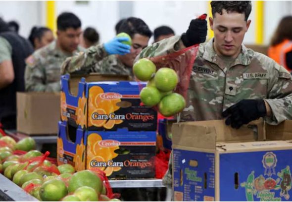 tbn24-20251031004316-314-food assitance