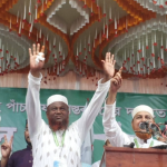 মাওলানা-রফিকুল