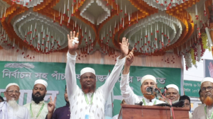 মাওলানা-রফিকুল