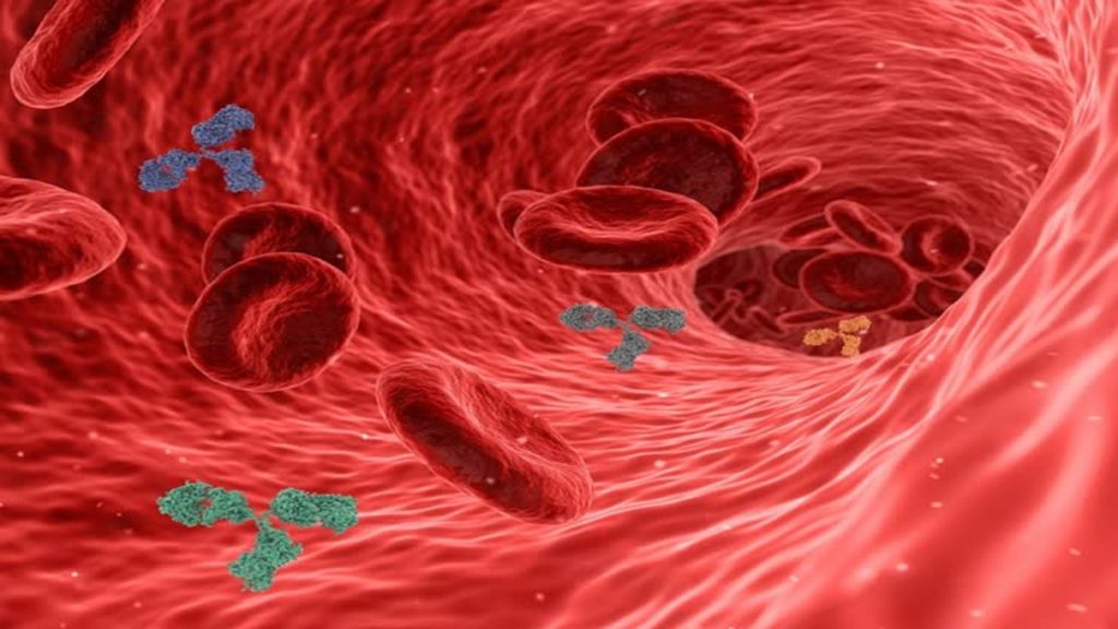 শরীরে রক্তের বিষক্রিয়া দূর করবে ঘরোয়া ৫ খাবার