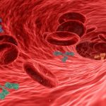 বিএনপি প্রতিবাদের পথ বেছে নিলে সরকার টিকতে পারবে না: গয়েশ্বর