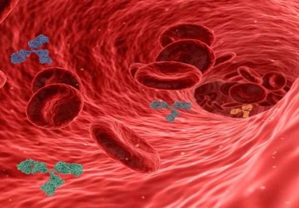 শরীরে রক্তের বিষক্রিয়া দূর করবে ঘরোয়া ৫ খাবার