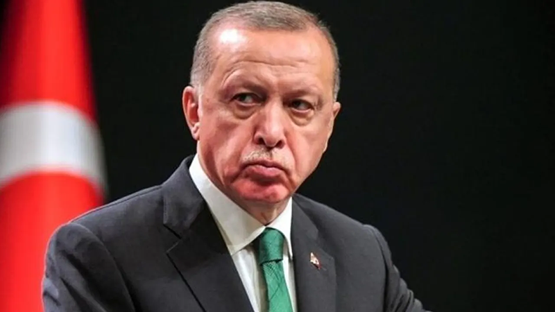 ‘জনগণ এরদোয়ানের ক্ষমতায় থাকার বিপক্ষে’ বলায় সাংবাদিকের ৪ বছর কারাদণ্ড