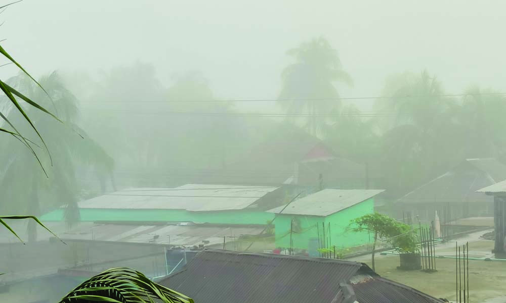 ঘন কুয়াশা আর ঠাণ্ডা বাতাসে উপকূলে জেঁকে বসেছে শীত