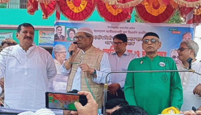 বিএনপিতে বিভেদ সৃষ্টির চেষ্টা করছে একটি দল: মির্জা ফখরুল