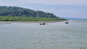 ff23f79cbc341380458e9f6ddf59bbd60c78c8f246812bfe