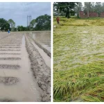 image_236933_1762020837