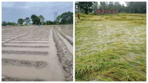 image_236933_1762020837