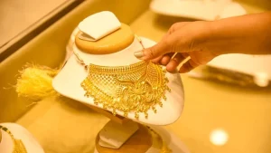 image_237912_1762316562