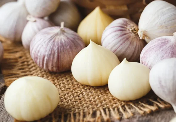 image_237959_1762332234