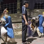 image_238090_1762371443