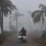 image_238594_1762540443