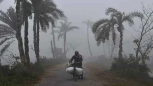 image_238594_1762540443