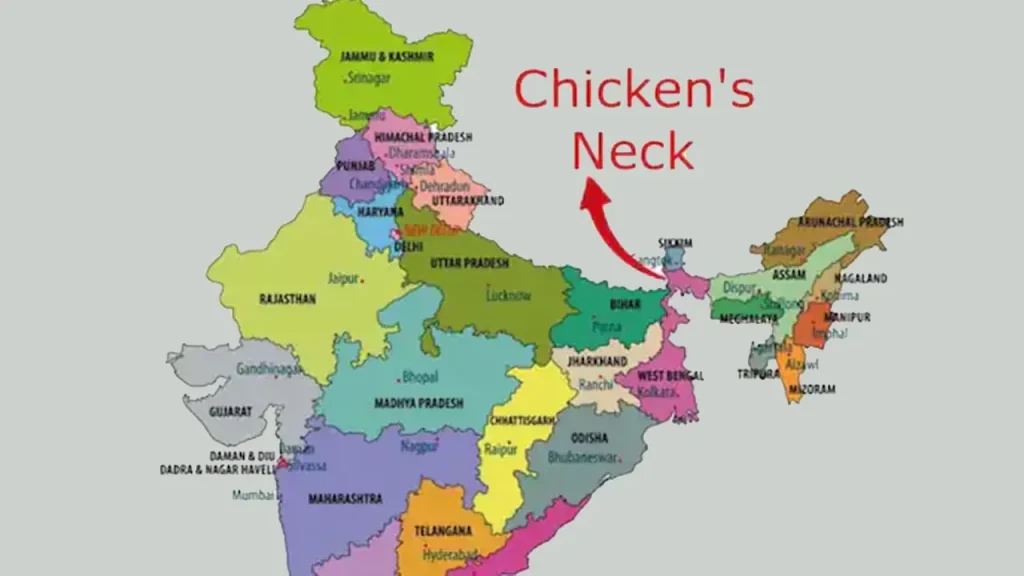 image_238599_1762548298