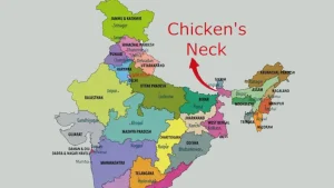 image_238599_1762548298