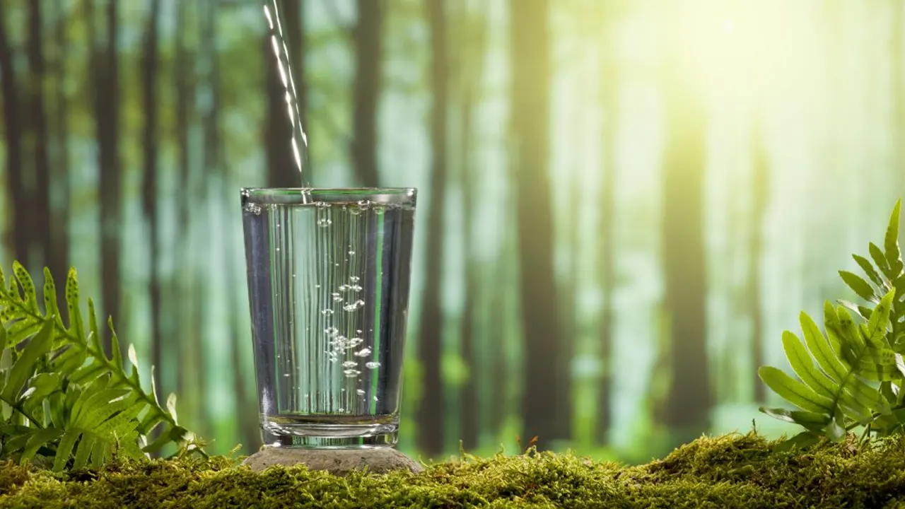 অ্যালকালাইন ওয়াটার আসলে কতটা উপকারী