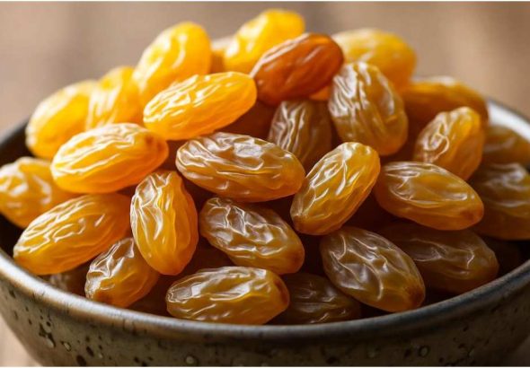 tbn24-20251101215822-5155-Raisin AI