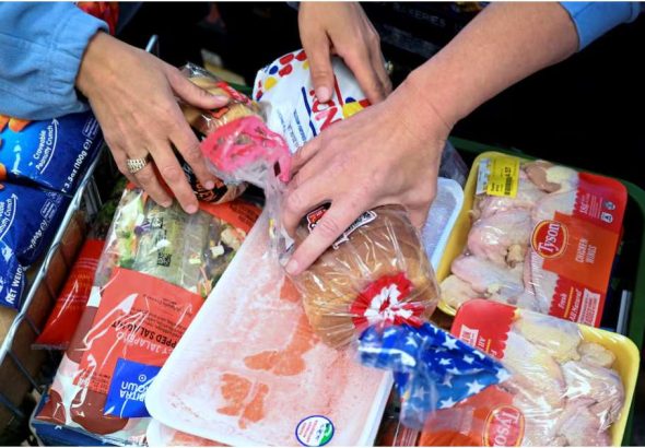 tbn24-20251102082824-7014-tbn24-20251101001554-9194-tbn24-20251026221936-1051-Food Stamp_