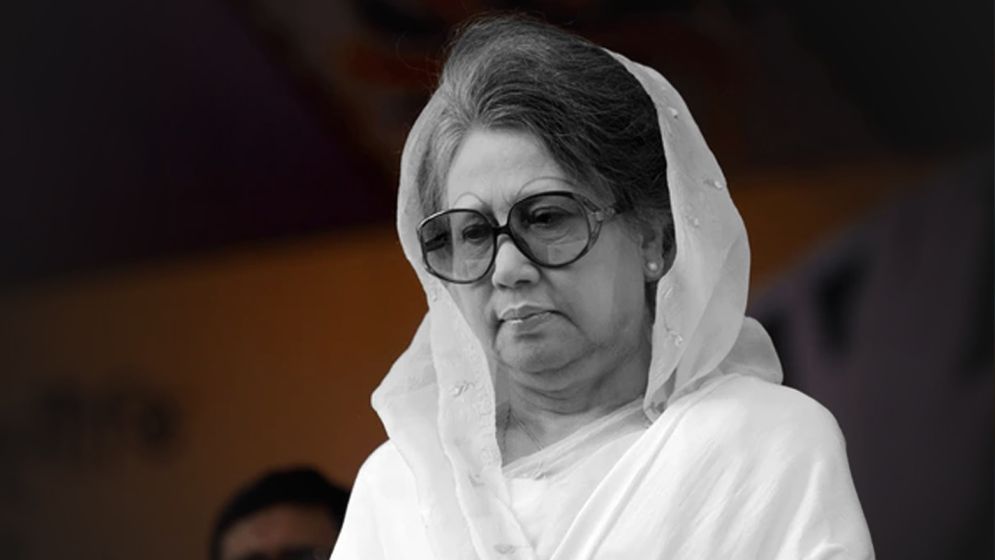 বহুদলীয় গণতন্ত্র পুনঃপ্রতিষ্ঠা ও সংসদীয় গণতন্ত্রকে প্রাতিষ্ঠানিক রূপ দিয়েছেন তিনি