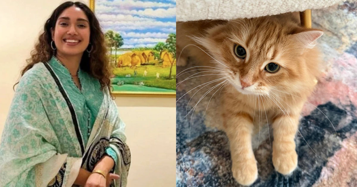 জেবুকে ঘিরে এত কৌতূহল দেখে আমি কিছুটা অবাক: জাইমা রহমান