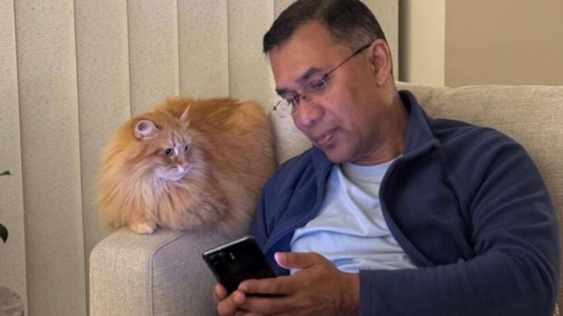 তারেক রহমানের আদরের সেই পোষা বিড়ালও পেল পাসপোর্ট