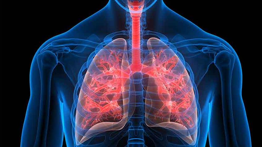 বিজ্ঞানীদের কৃত্রিম ফুসফুস প্রযুক্তি মডেল উদ্ভাবন