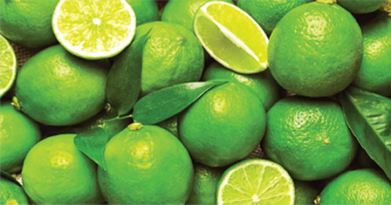 রমজান এলে বেড়ে যায় লেবুর কদর, ১৬০ টাকা হালি