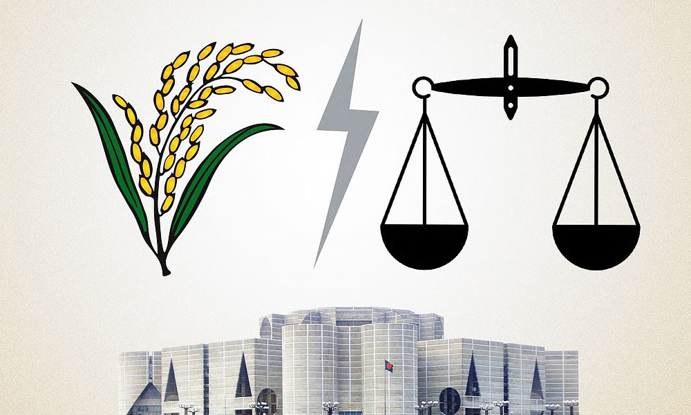 চট্টগ্রামে ১৪টি আসনে বিএনপি, ২টি আসনে জামায়াত বিজয়ী