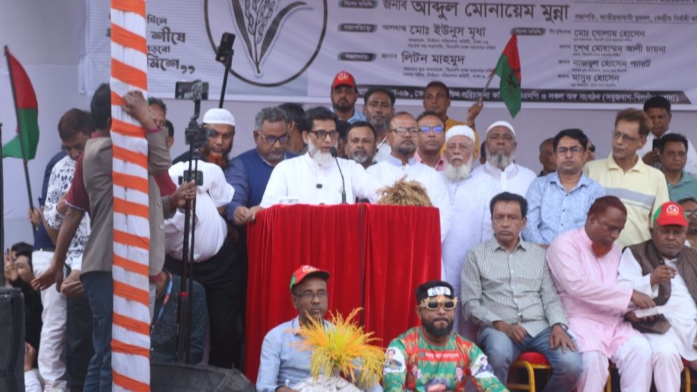 প্রতিহিংসা নয়, নাগরিক অধিকার নিশ্চিত করাই বিএনপির লক্ষ্য: হাবিব