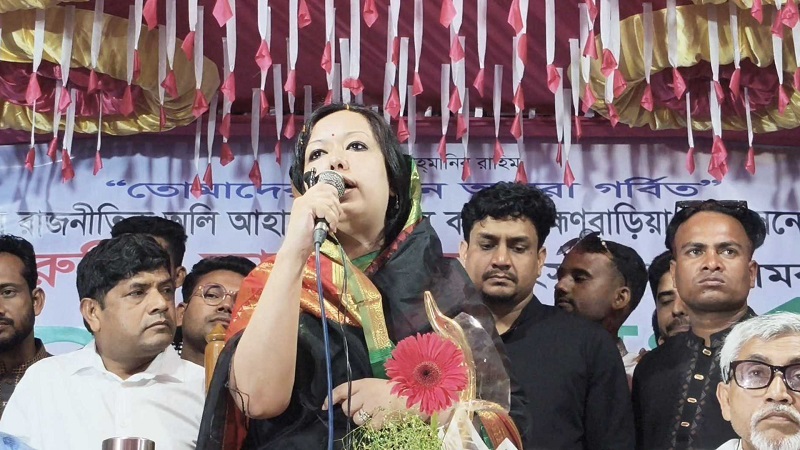 দেশে এখন ‘মামলা বাণিজ্য’ ব্যাপকভাবে ছড়িয়ে পড়েছে: রুমিন ফারহানা