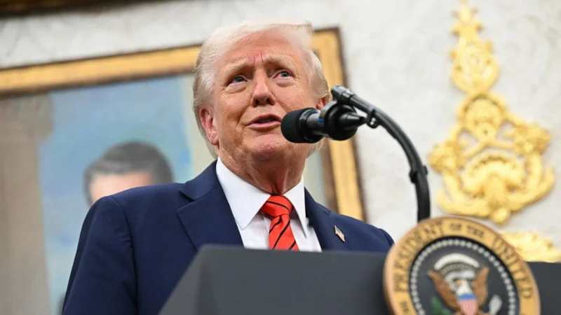 ডেমোক্র্যাটরা দেখছেন ট্রাম্পের হার, সমর্থন করছেন রিপাবলিকানরা