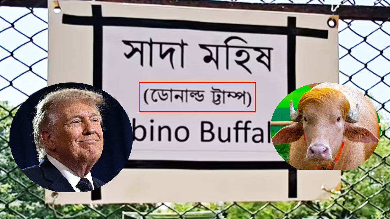 ভাইরাল ‘ডোনাল্ড ট্রাম্প’-এর ‘ট্রাম্প’ বানান ভুল করল চিড়িয়াখানা কর্তৃপক্ষ